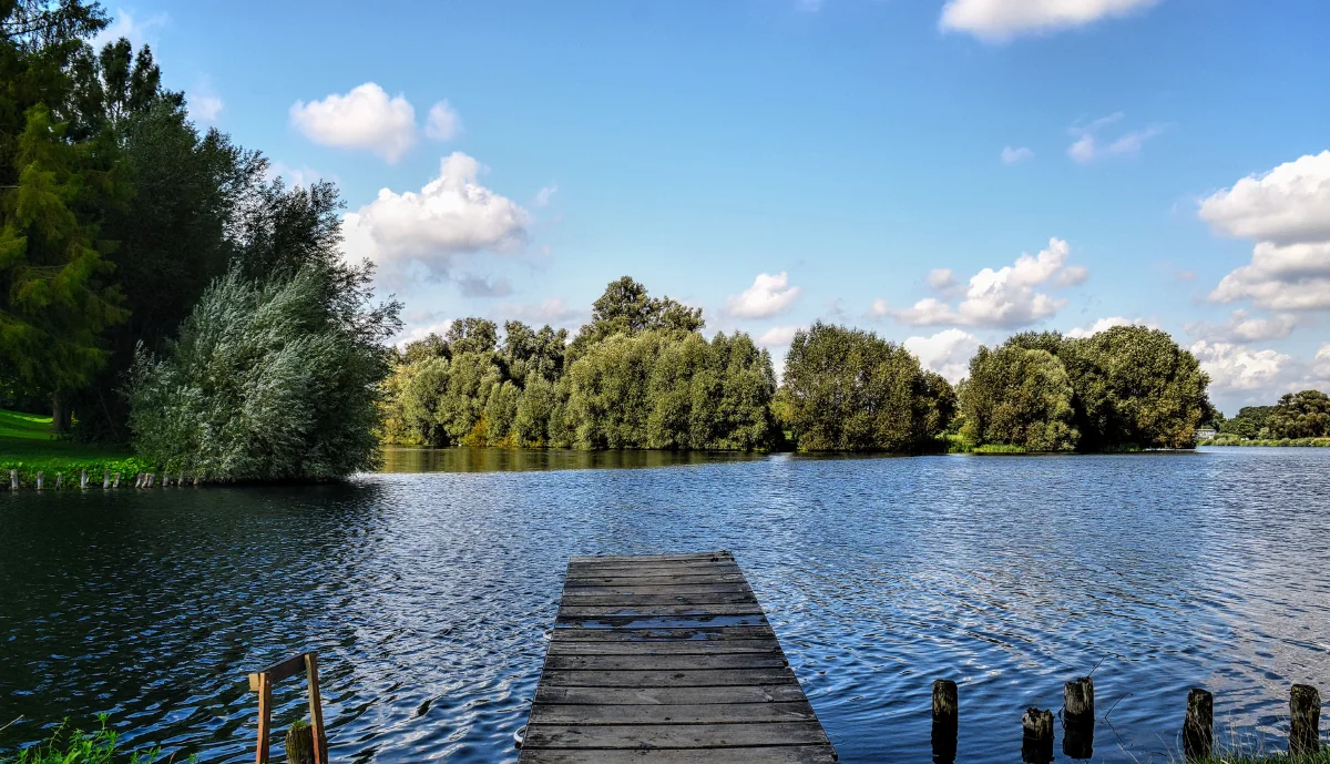 A wooden jetty extending into a lake surrounded by green trees