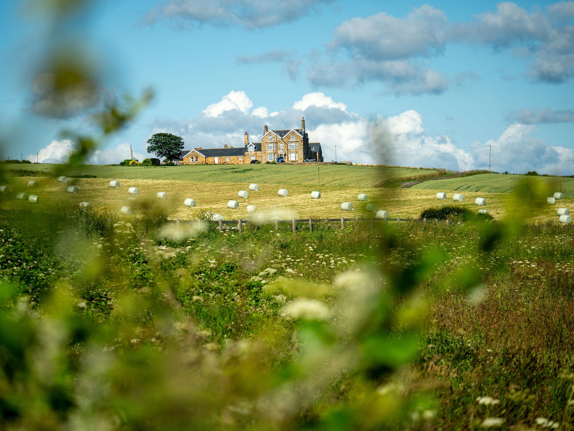Sheep grazing in fields below a large stone house